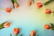Easter Stock Photo Bundle - 75% OFF!, a Holiday Photo by GetMockups (Thumbnail 5 of 21)