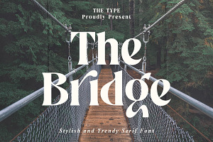 The Bridge | Stylish Trendy Serif