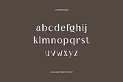 Chic Royale Classy Serif Font, a Serif Font by UICreative (Thumbnail 11 of 12)