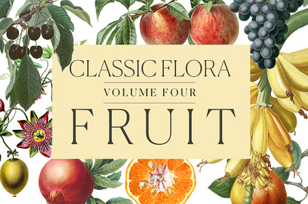 Botanical Illustrations -Fruit