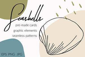 Seashells collection
