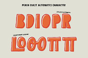 Peach Coast, a Symbol Font by Nathatype (Thumbnail 11 of 12)