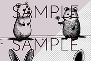 Australian Animals SVG Clipart, an Animal Illustration by Pawcasso's Portraits (Thumbnail 8 of 8)