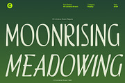 CS Lindens Drawn, a Sans Serif Font by Craft Supply Co. (Thumbnail 5 of 8)