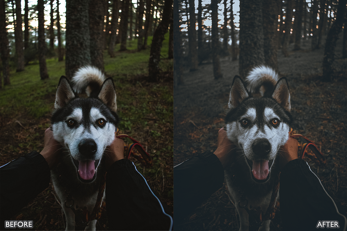 Dark and Moody Lightroom presets, a Preset Add-On by AAA Presets (Photo 3 of 10)