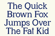 CS Sullivan Drawn, a Serif Font by Craft Supply Co. (Thumbnail 5 of 8)