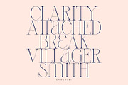 Spora Font Duo, a Serif Font by vuuuds (Thumbnail 7 of 14)