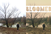 The Whole Kit and Kaboodle Bundle, an Action Add-On by Will Milne Photography (Thumbnail 8 of 20)