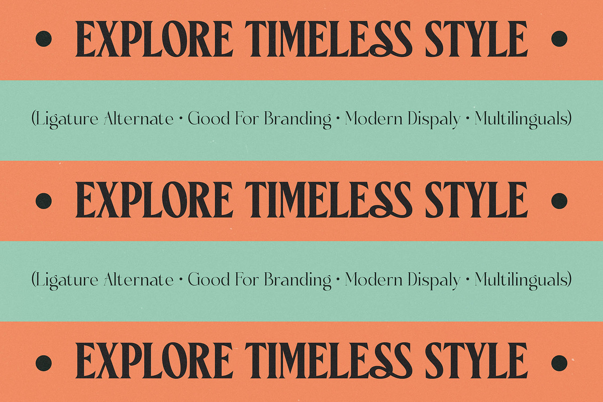 Ceganf Modern High Contrast Serif, a Serif Font by timelesstype.co (Photo 11 of 20)