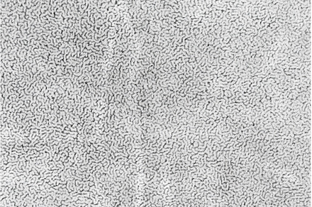 Dark white color fabric cloth with