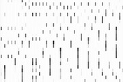 Binary Mosaic Patterns, a Decorative Illustration by Huebert World (Thumbnail 7 of 10)