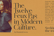 Idealist Serif, a Serif Font by Nicky Laatz (Thumbnail 24 of 34)