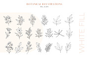 Wildflowers Botanical Line Art, an Illustration by Kaya Fonts (Thumbnail 8 of 18)