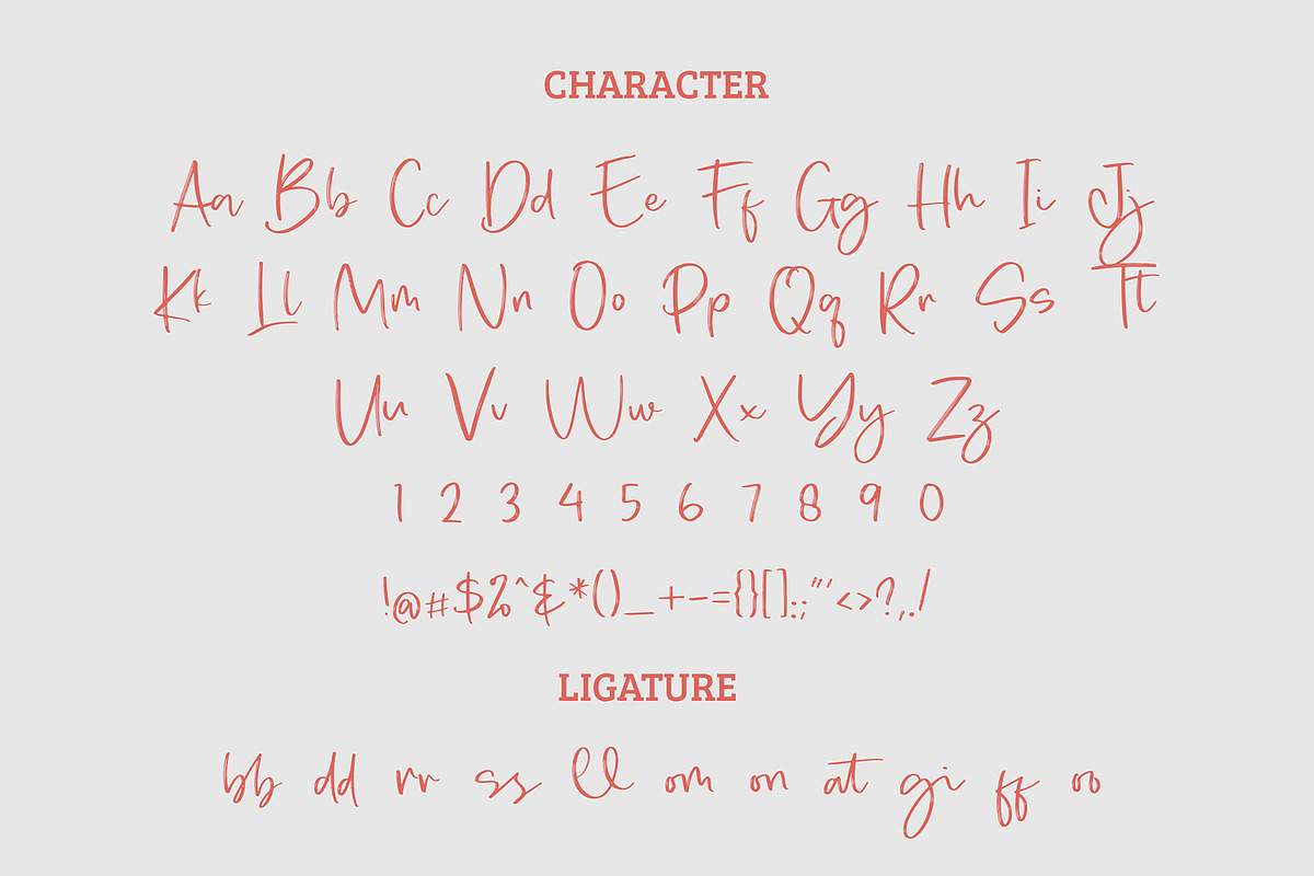 Pabbiolla Modern Script Font, a Script Font by Giant Design (Photo 10 of 10)