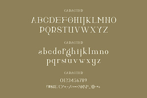 Hitocie Ligature Serif Typeface