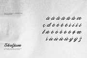 Sholjum, a Script Font by ilhamtaro (Thumbnail 11 of 11)