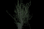 pack Nature, an Object Graphic by FlyOk (Thumbnail 5 of 9)