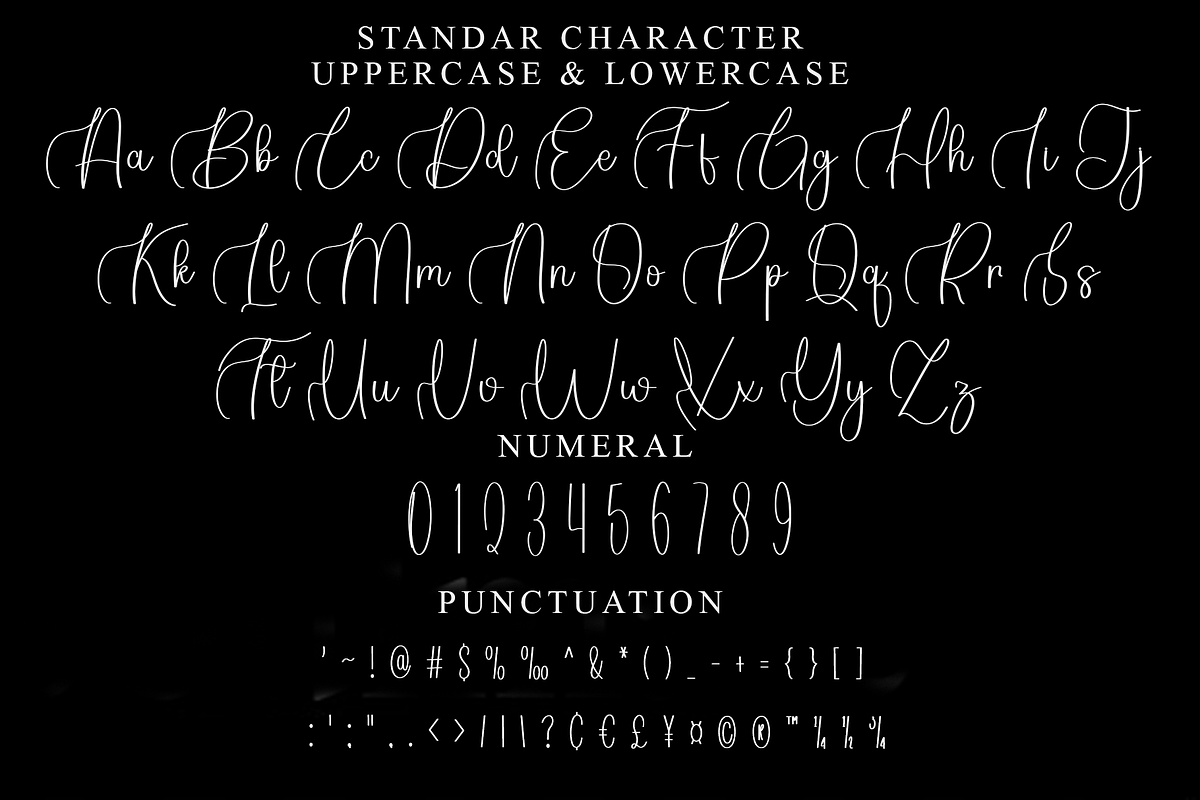 Authentic Ballpoint, a Handwritten Font by InermediaSTUDIO (Photo 3 of 8)