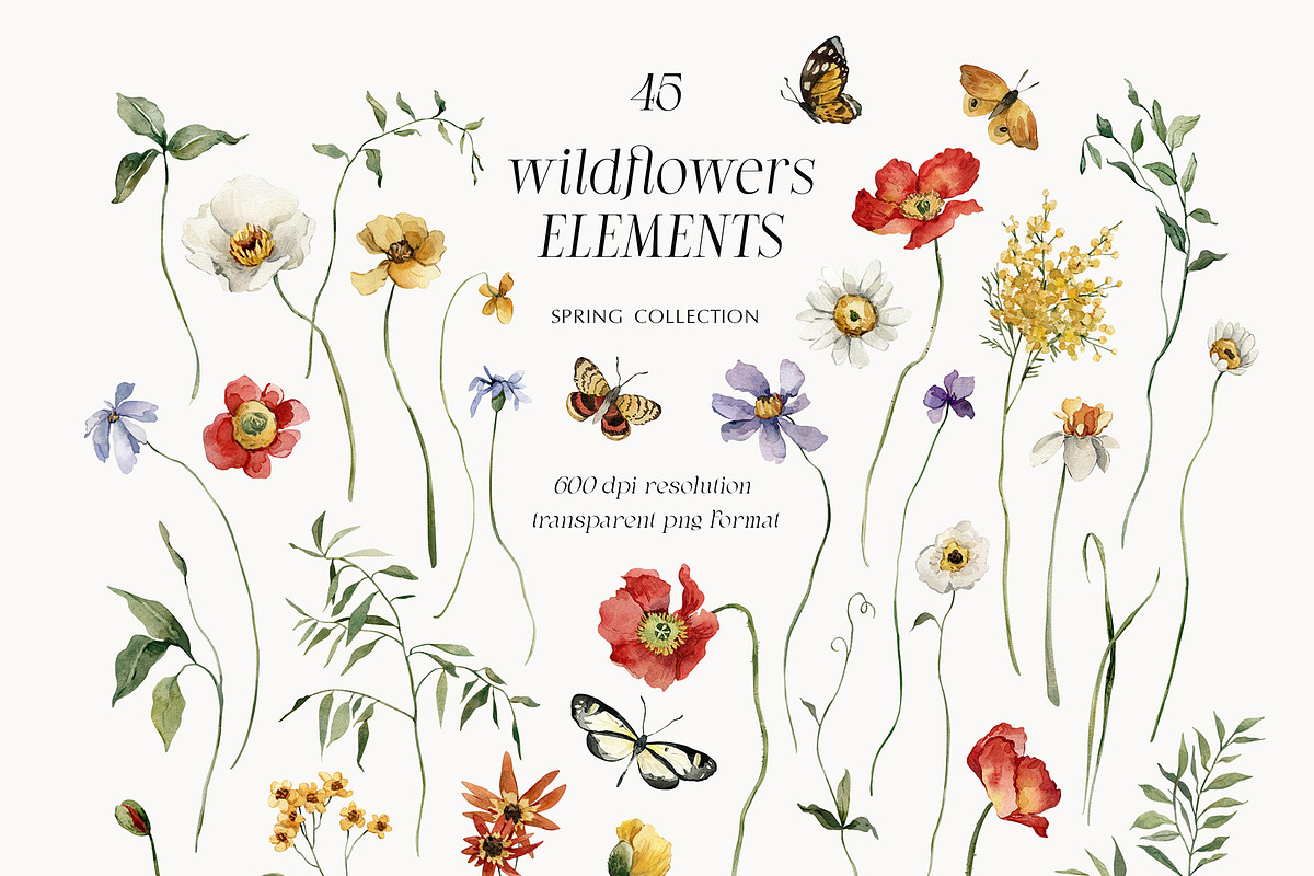 BLOOMING wildflowers of spring, a Seasonal Illustration by AleksaArt (Photo 10 of 13)