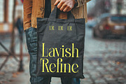 Heroic Brutal Bold Tall Serif, a Serif Font by timelesstype.co (Thumbnail 14 of 20)