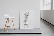 House Plants. Vector illustrations, a Decorative Illustration by iri-illustration (Thumbnail 6 of 9)