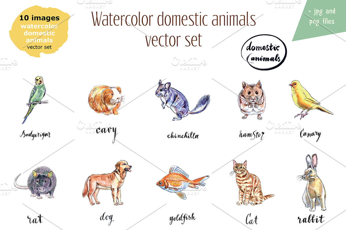 Watercolor vector domestic animals, an Animal Illustration by miminoshka (Photo 7 of 8)