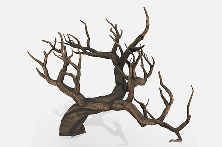 Aquarium Snag V31