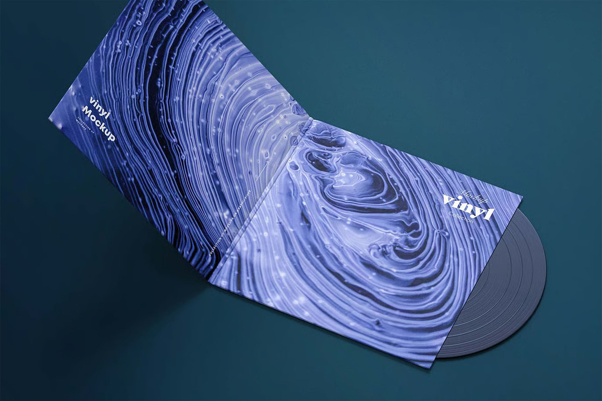 Vinyl Mock-up, a Product Mockup by zippypixelstudio (Photo 8 of 8)