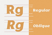 VT Epicgant - Classic Display Serif, a Serif Font by ViactionType (Thumbnail 3 of 10)