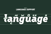 Fellbaum Grotesk Full, a Sans Serif Font by Vintage Type Company (Thumbnail 5 of 16)
