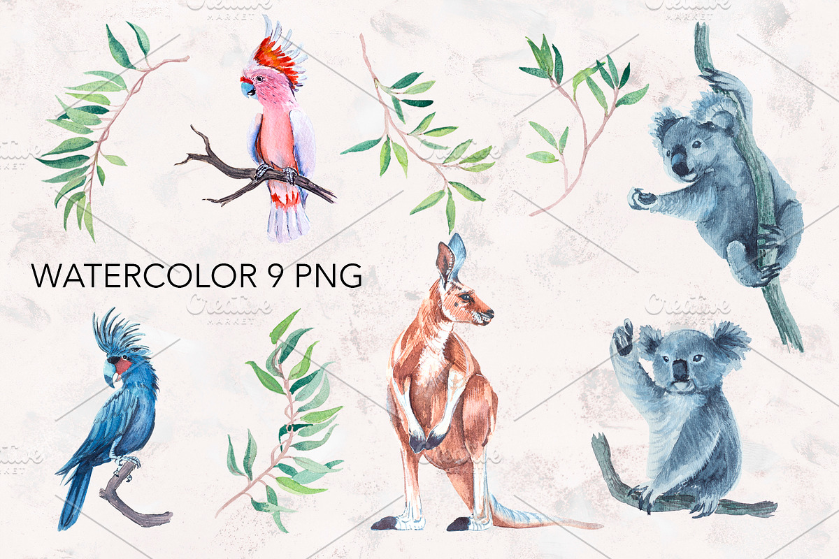 Watercolor koala, parrot, kangaroo., an Animal Illustration by lilisavelieva (Photo 2 of 5)