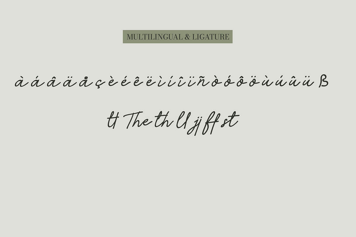 Alacati - Elegant Handwritten Script, a Handwritten Font by Mockmenot (Photo 5 of 6)