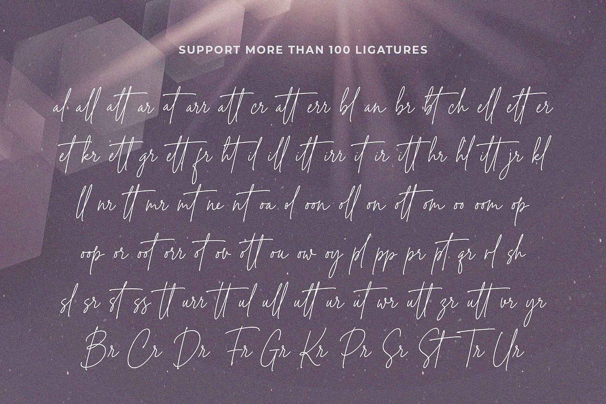 Master Photograph - Signature font, a Script Font by Subectype Studio (Photo 7 of 9)