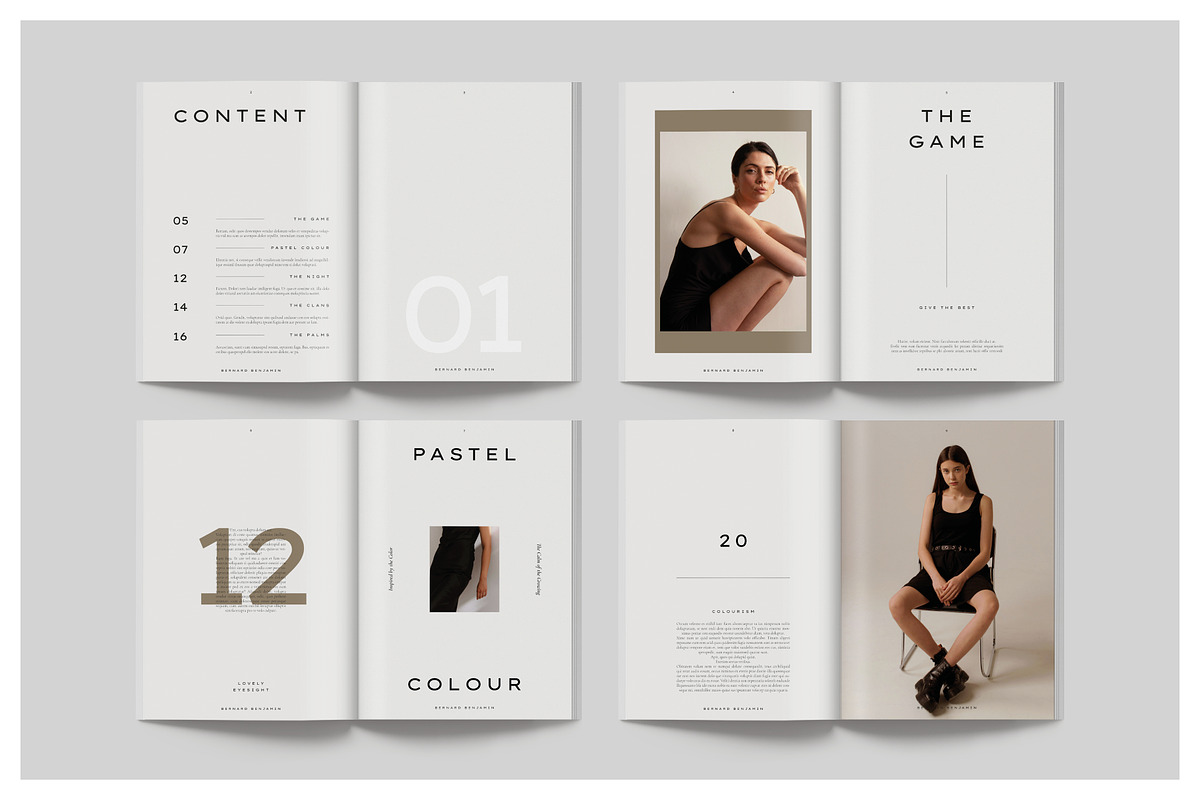 BOTLEY Creative Portfolio, a Magazine Template by Arif Tri Ananta (Photo 2 of 14)
