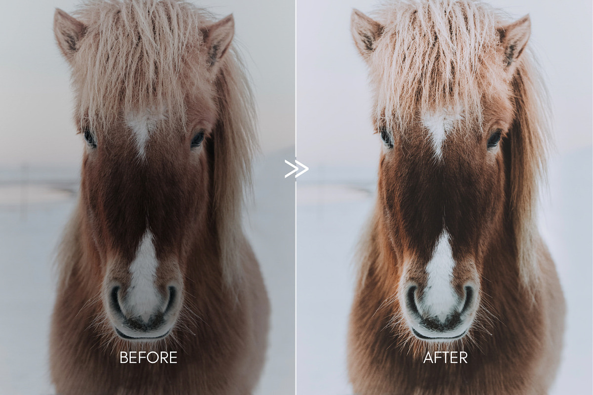 Moody Matte Outdoor Travel Presets, an Action Add-On by CityTurtles (Photo 7 of 13)