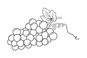 Wine Set. Monochrome Icons, Elements, a Food Illustration by Gomolach (Thumbnail 2 of 13)