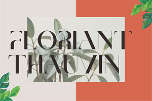 Brescia Modern Serif