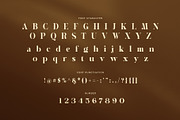 Bagria Elegant Serif Font, a Serif Font by Perfectype (Thumbnail 7 of 8)