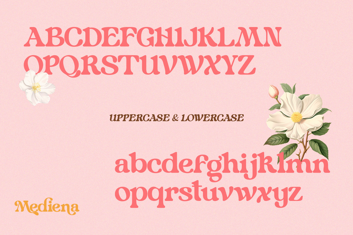 Mediena – Modern Retro Alternates, a Serif Font by Qweera Studio (Photo 11 of 12)