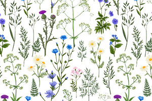 Wild Herbs. Wildflowers Pattern