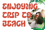 Crabking - Tropical Display Font, a Script Font by AQR Studio (Thumbnail 6 of 8)