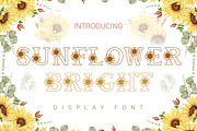 Premium Fonts Bundle, a Font by Actual Pixel (Thumbnail 14 of 23)