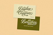 Beauty Reflections - Elegant Script, a Script Font by Letterhend Studio (Thumbnail 4 of 9)