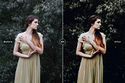 Dark & Moody Lightroom Presets, an Action Add-On by Creativetacos (Thumbnail 6 of 6)
