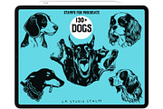 Bundle Animals & Insects -Stamp Sets, a Brush Add-On by LA Studio Sthlm (Thumbnail 9 of 15)