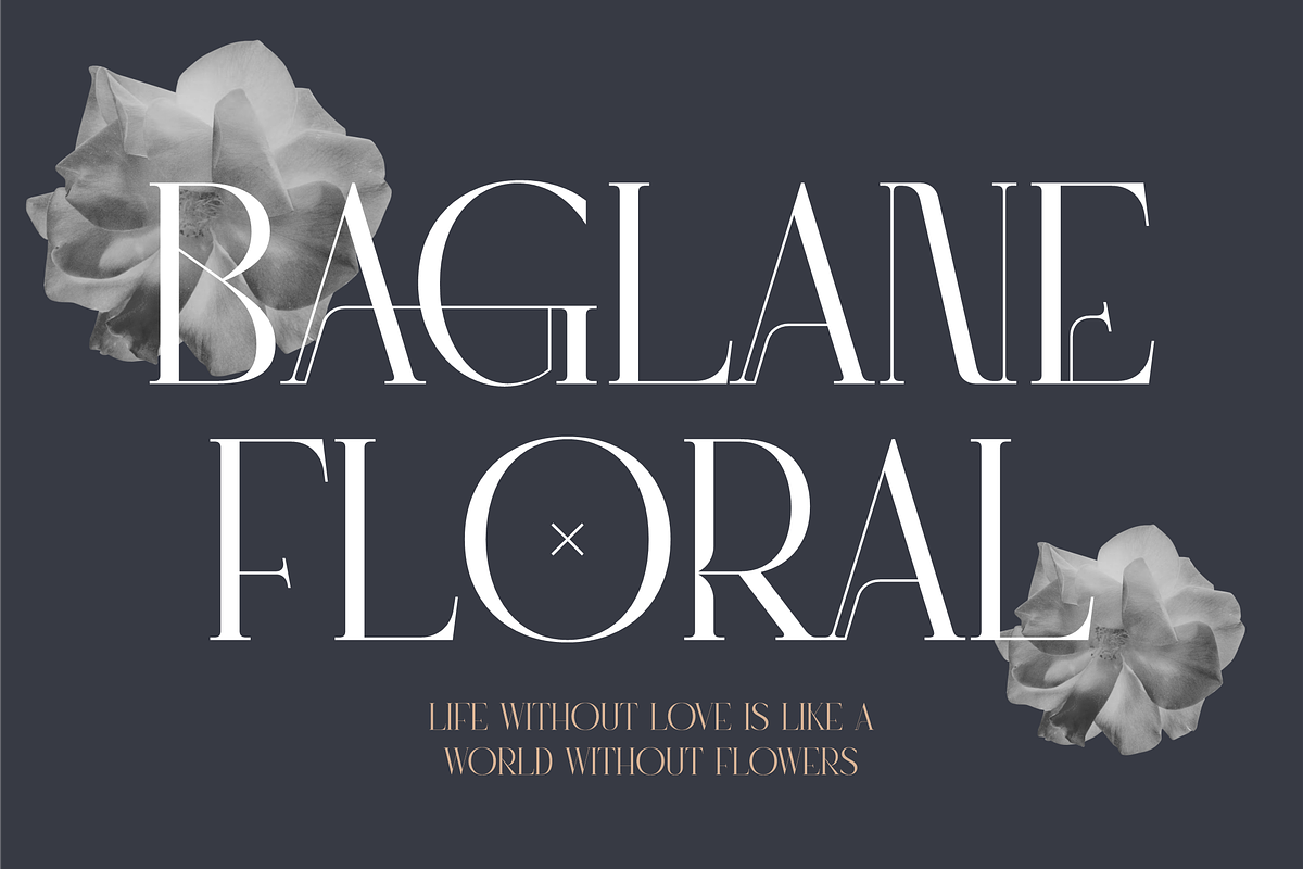 Ragyola A Display Serif Font, a Serif Font by Storytype Studio (Photo 2 of 15)