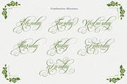 Chardonnay Script, a Script Font by Has_rizal (Thumbnail 7 of 11)