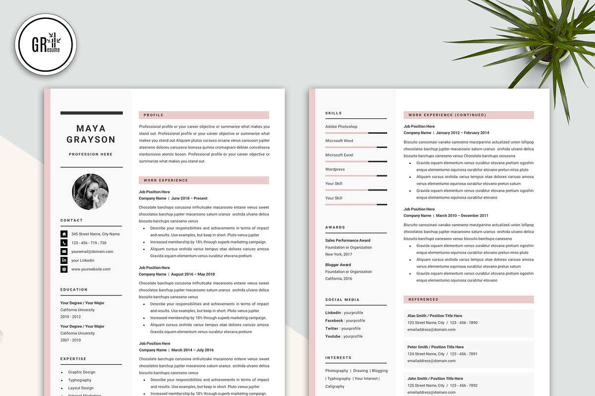 Professional Resume CV Template, a Resume Template by GResume (Photo 3 of 7)