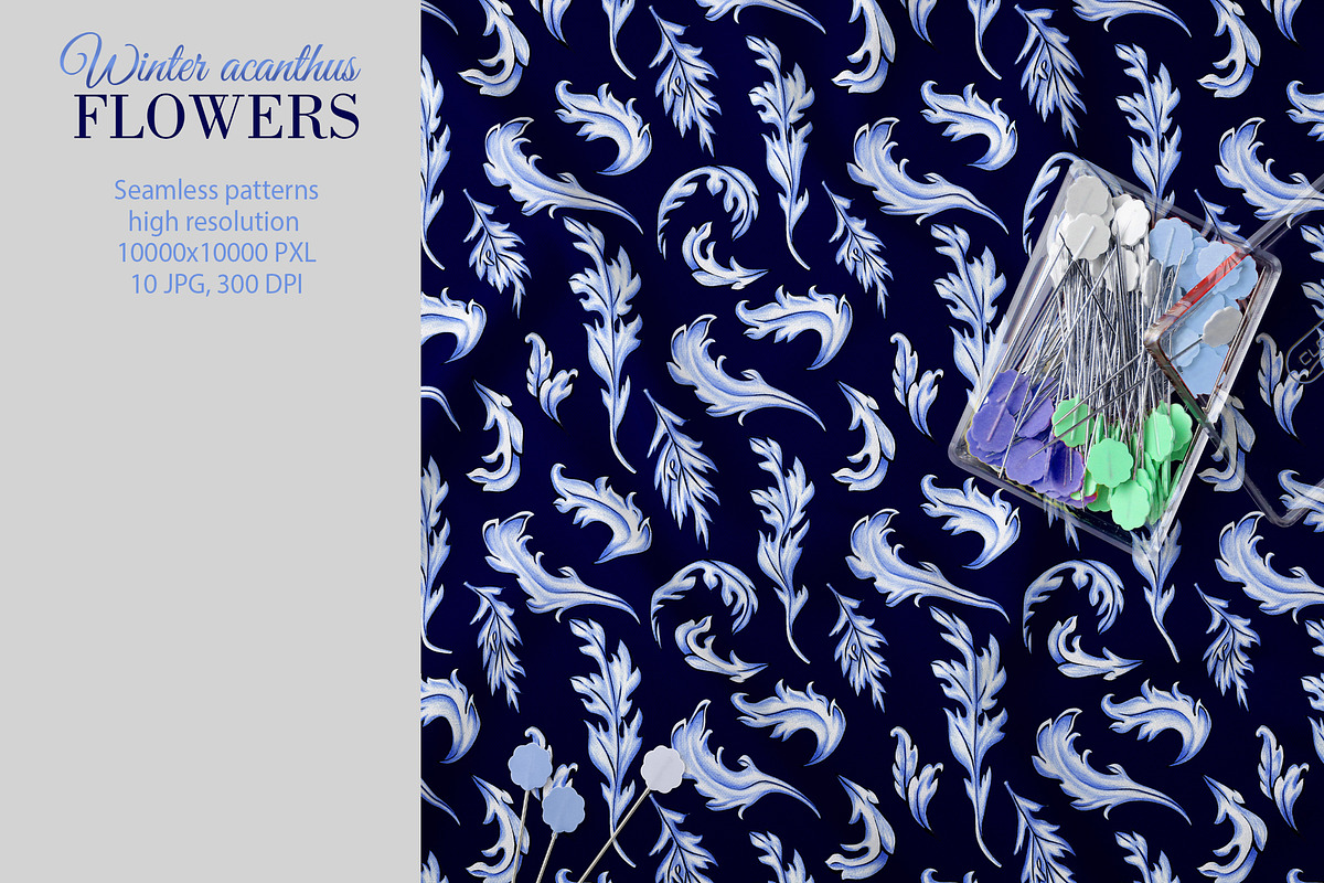 Winter acanthus Flowers, a Decorative Illustration by L- design studio (Photo 7 of 7)
