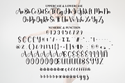 Ballerina | Script Font, a Handwritten Font by Scratchones (Thumbnail 7 of 9)